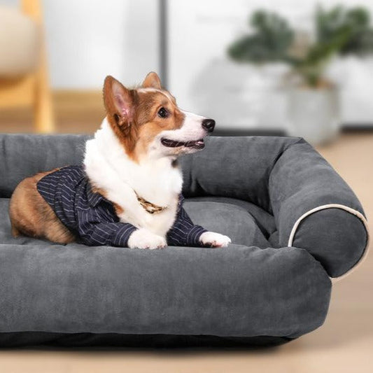 Mukava koiran sohva useissa eri väreissä ja koossa